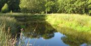 Nannerth Wildlife Pond