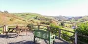 Barn View Cottages near Llanidloes, Oak Cottage view