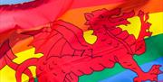 Pride Cymru at Cardiff