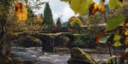 Pont Minllyn | Minllyn Bridge