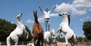 Spanish Horse Whisperer, Santi Serra at The Royal Welsh Show