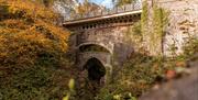 Devil's Bridge Falls