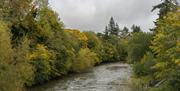 Newtown | River Severn