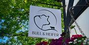 Bull and Heifer Sign