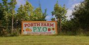 Porth farm strawberry and pumpkin picking sign