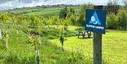 Slipper Limpet Camping Pitch