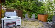 Squirrels drey hot tub