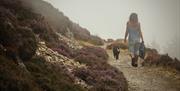 Great Orme | Coastal Path