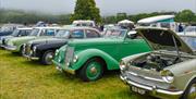 Aberaeron Vintage Show