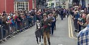 Barley Saturday - Cardigan