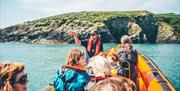 Ramsey Island Boat Trip