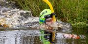 World Bog Snorkelling Championships