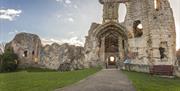 Chepstow Castle