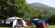 Dinas Camping