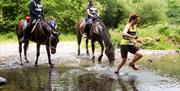 Whole Earth Man v Horse Marathon