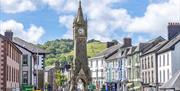 Market Day Music | Gŵyl Machynlleth Festival
