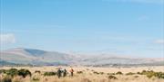 E-mountain Biking in the Preseli Hills