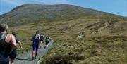 Cader Idris Race