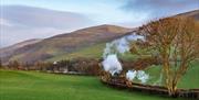 Dragons Day | Talyllyn Railway