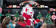 Meet Santa at Vale of Rheidol Railway