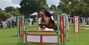 Show jumping at Usk Show