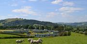 Gellidywyll holiday home park