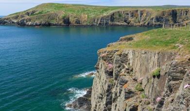 Cardigan Island Coastal Farm Park