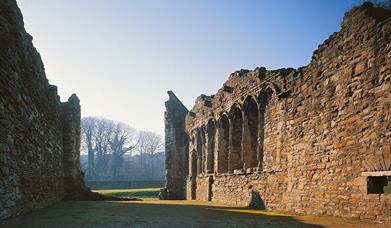 Basingwerk Abbey (Cadw)