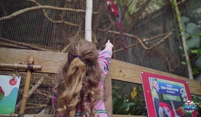 Plantasia Tropical Zoo