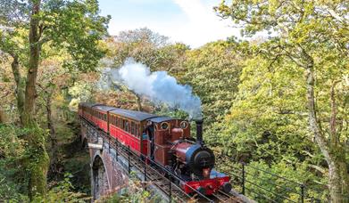 Number 2 'Dolgoch' crossing the viaduct, approaching Dolgoch Station.