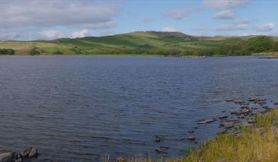 Llyn Mawr Nature Reserve