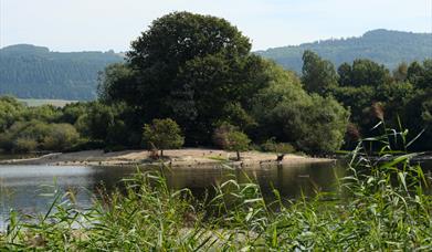 Llyn Coed y Dinas Nature Reserve