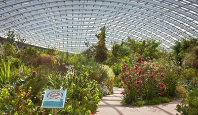National Botanic Garden of Wales | Great Glasshouse