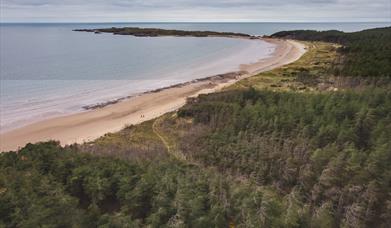 Newborough Forest