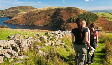 Cambrian Mountains
