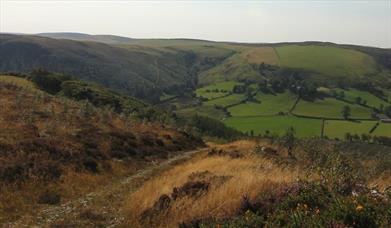 Cefn Cenarth Nature Reserve