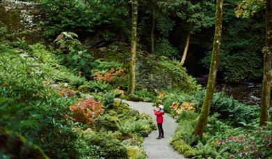 Plas Cadnant Hidden Gardens