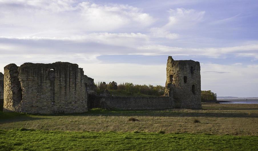 Flint Castle (Cadw)