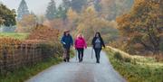 Dyfi Walking Tours, Southern Snowdonia