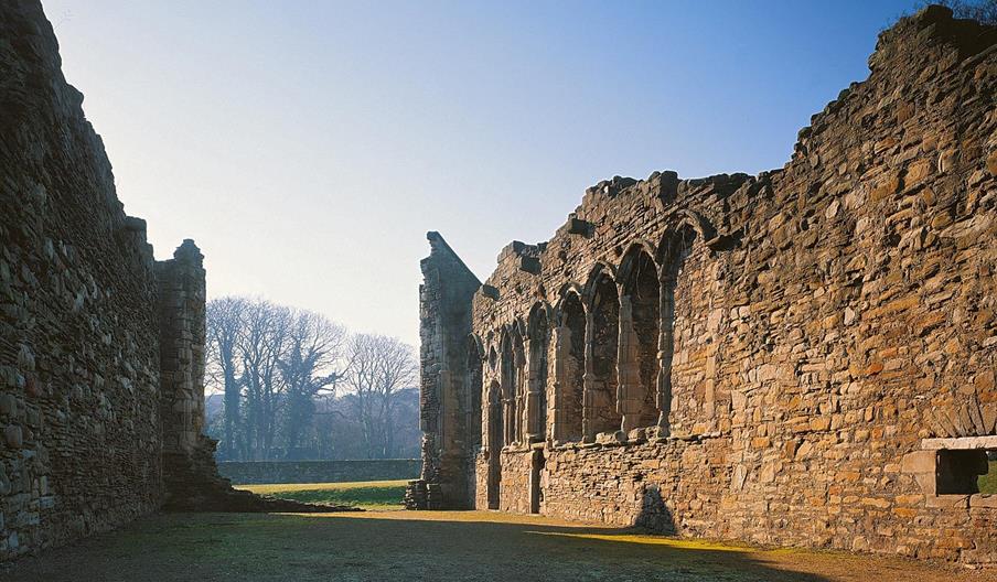 Basingwerk Abbey (Cadw)