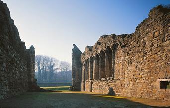 Basingwerk Abbey (Cadw)