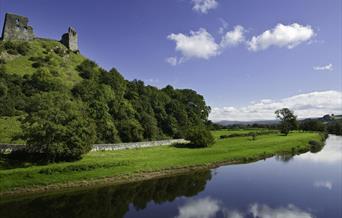 Dryslwyn Castle (Cadw)