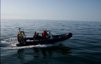 Dolphin Survey Boat Trips