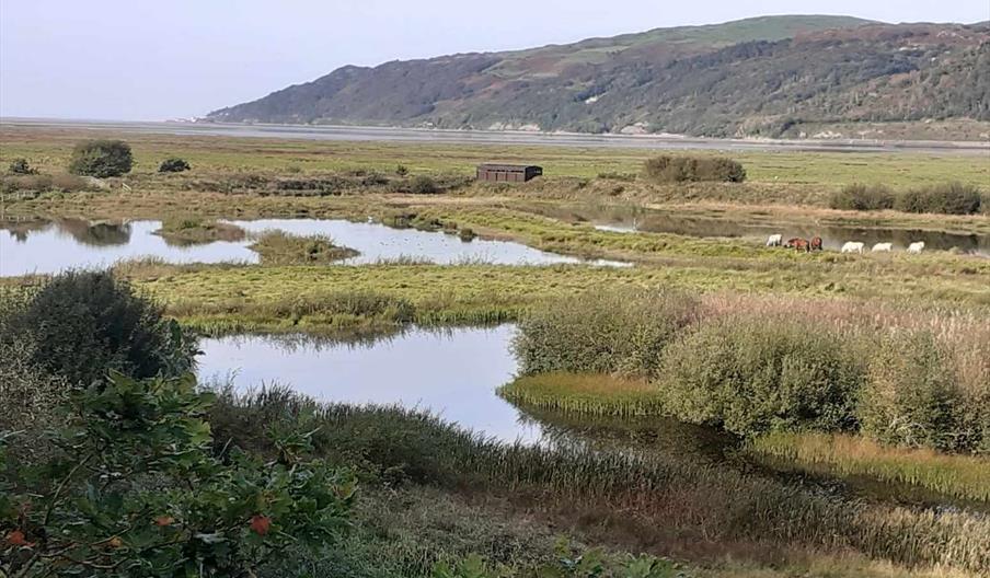 Marian mawr pools RSPB Ynys-hir Marian mawr pools RSPB Ynys-hir