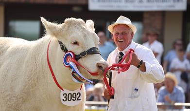 The Royal Welsh Show attracts thousands of livestock exhibitors from across Wales, the UK and beyond.