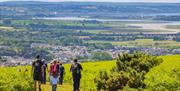 Descending Graig Fawr towards Pontarddulais with the M4 bridge over the River Loughor in the distance