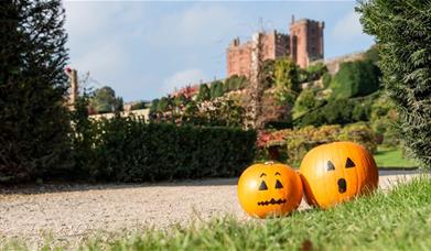 Pumpkin Trail at Half Term at Powis Castle