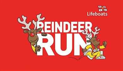 RNLI New Quay Reindeer Run 2023