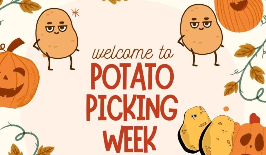 Half Term Potato Picking Week at Fantasy Park Half Term Potato Picking Week at Fantasy Park